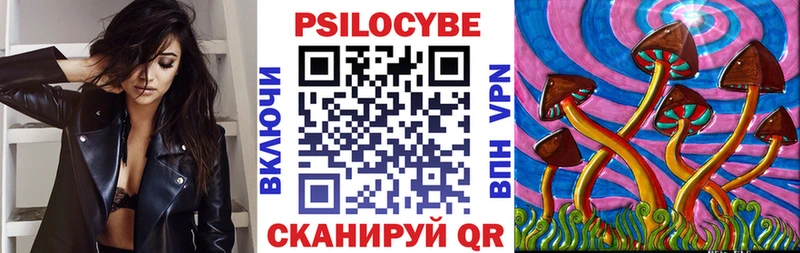 сколько стоит  Кисловодск  Псилоцибиновые грибы мицелий 
